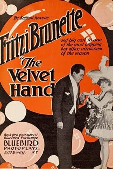 The Velvet Hand