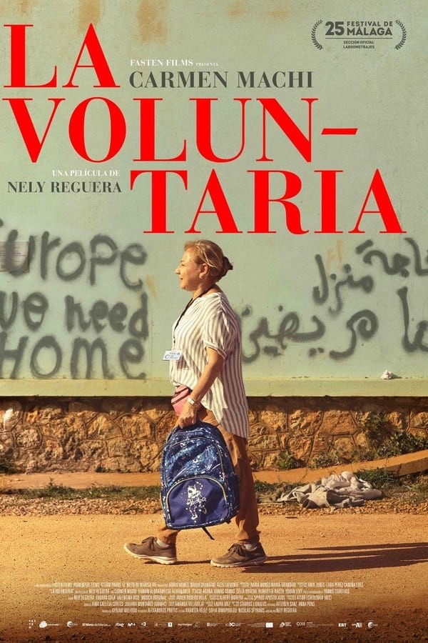 The Volunteer (2022) afişi The Volunteer (2022) afişi