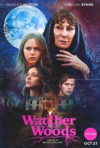 The Watcher in the Woods (2017) afişi The Watcher in the Woods (2017) afişi