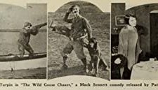 The Wild Goose Chaser (1925) afişi