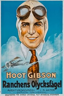 The Winged Horseman (1929) afişi