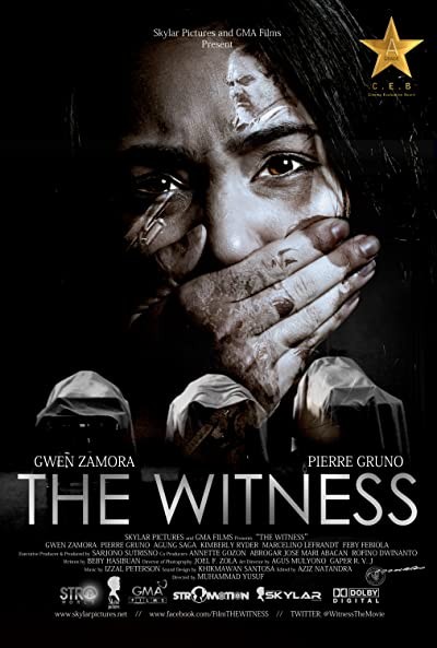 The Witness (2012) afişi The Witness (2012) afişi
