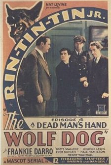 The Wolf Dog (1933) afişi