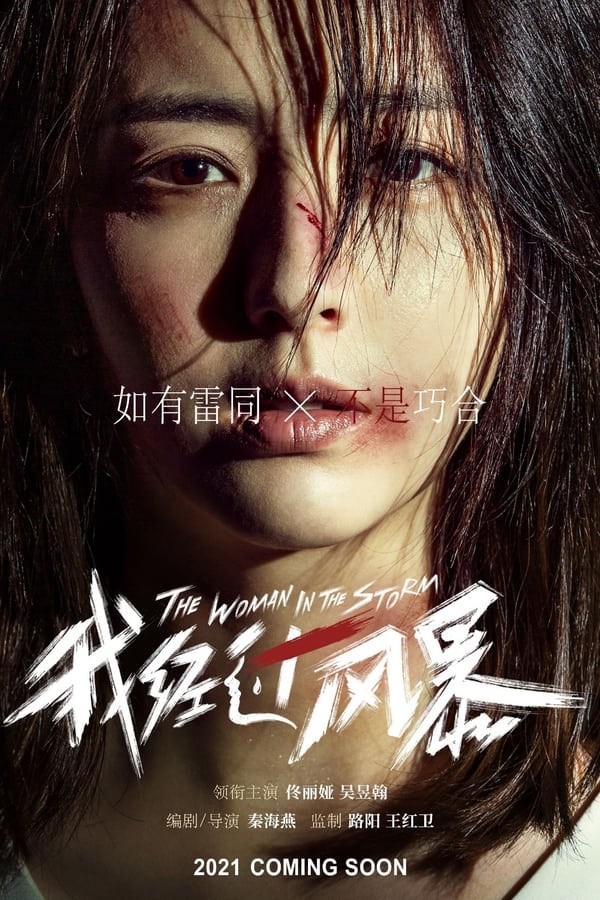 The Woman in the Storm (2023) afişi The Woman in the Storm (2023) afişi