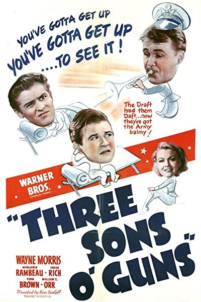 Three Sons O' Guns (1941) afişi Three Sons O' Guns (1941) afişi