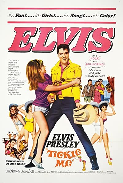 Tickle Me (1965) afişi Tickle Me (1965) afişi