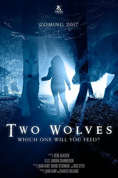 Two Wolves (2017) afişi Two Wolves (2017) afişi
