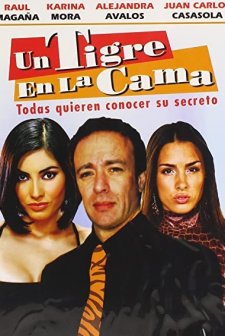 Un Tigre En La Cama (2009) afişi