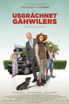 Usgrächnet Gähwilers (2017) afişi