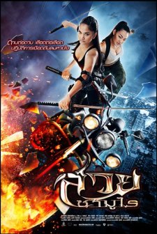 Vanquisher (2009) afişi