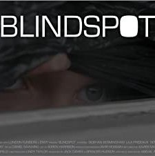 Vakfolt  (2017) afişi