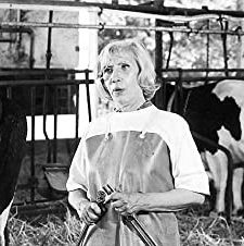 Viechereien (1977) afişi