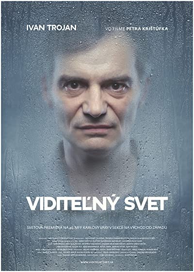 Visible World (2011) afişi Visible World (2011) afişi