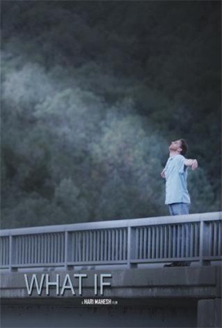 What If (2013) afişi What If (2013) afişi