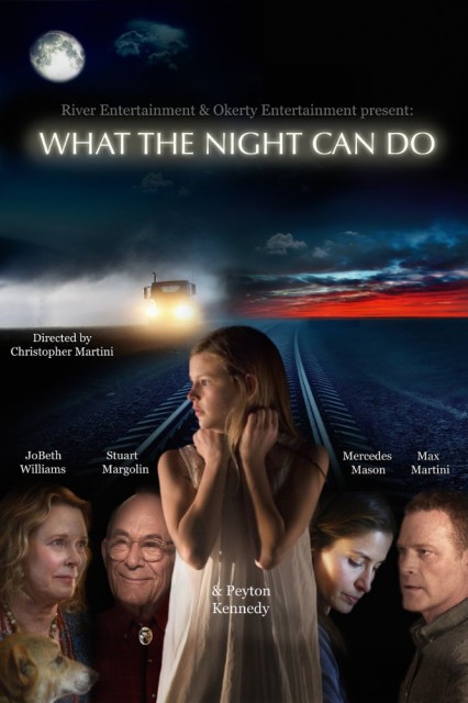What the Night Can Do (2017) afişi What the Night Can Do (2017) afişi