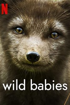 Wild Babies
