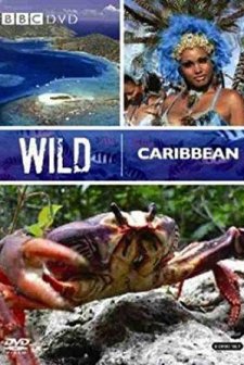 Wild Caribbean (2007) afişi