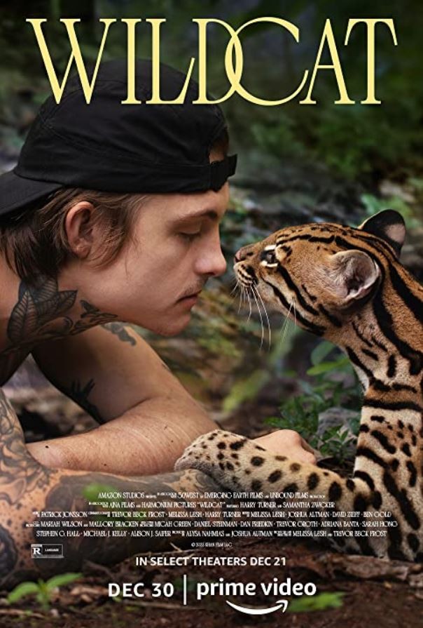 Wildcat (2022) afişi Wildcat (2022) afişi