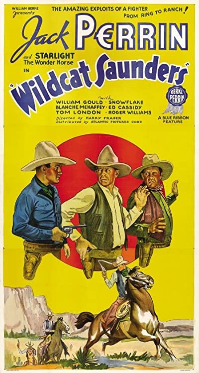 Wildcat Saunders (1936) afişi Wildcat Saunders (1936) afişi