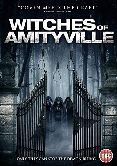 Witches of Amityville Academy (2020) afişi Witches of Amityville Academy (2020) afişi