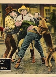 Wolf's Trail (1927) afişi