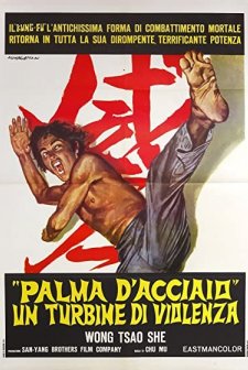 Wu Di Tie Sha Zhang (1971) afişi