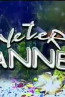 Yeter Anne (2002) afişi