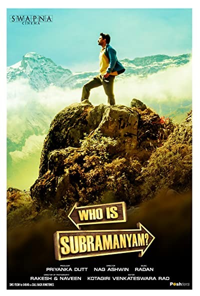 Yevade Subramanyam (2015) afişi Yevade Subramanyam (2015) afişi