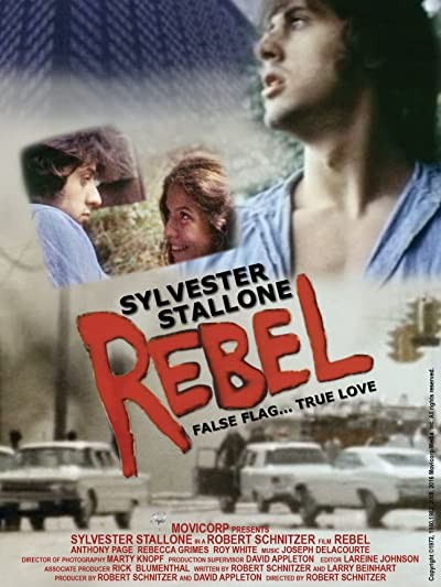 Zebra (1973) afişi Zebra (1973) afişi
