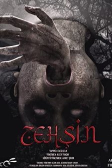 Zehşin Cin-i Musallat (2022) afişi