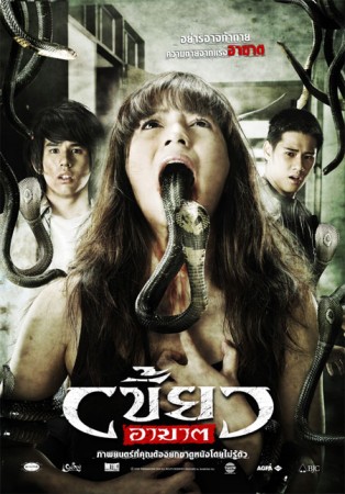 Zorla Giren (2010) afişi Zorla Giren (2010) afişi
