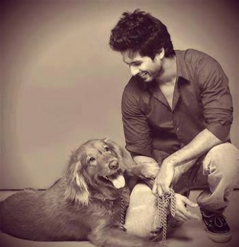 Shahid Kapoor Fotoğrafı