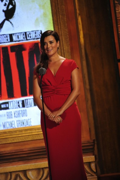 Cote De Pablo Fotoğrafları 8