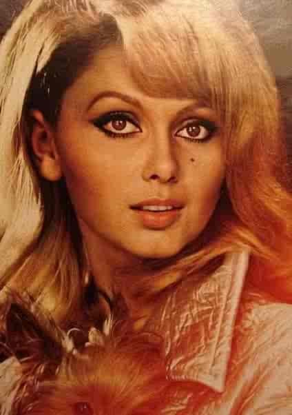 France Anglade Fotoğrafları 6