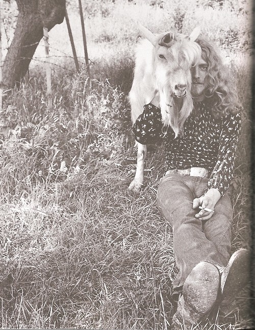 Robert Plant Fotoğrafı