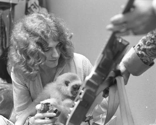 Robert Plant Fotoğrafları 9