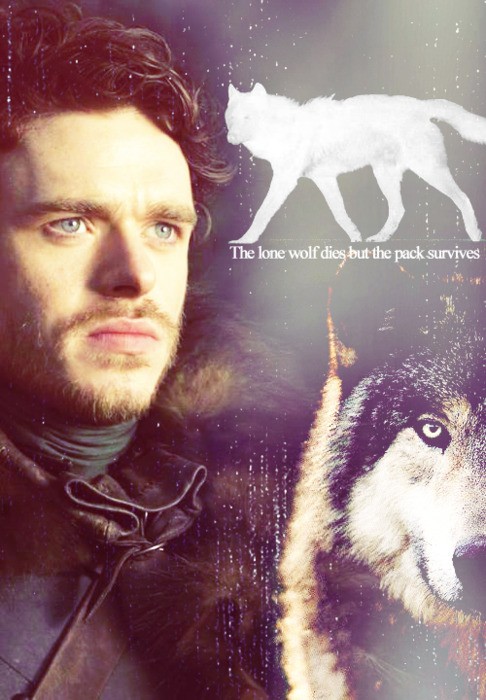 Richard Madden Fotoğrafı