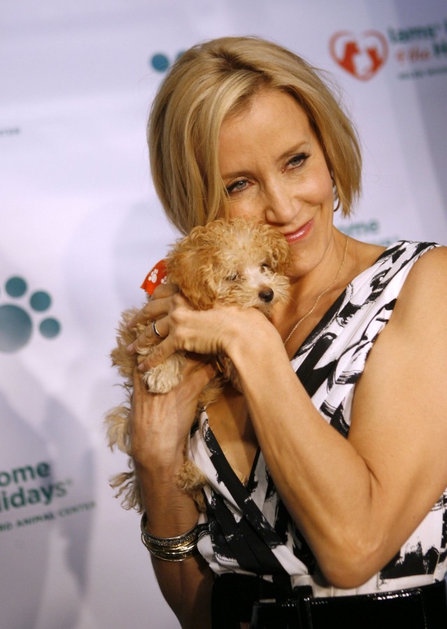 Felicity Huffman Fotoğrafları 56