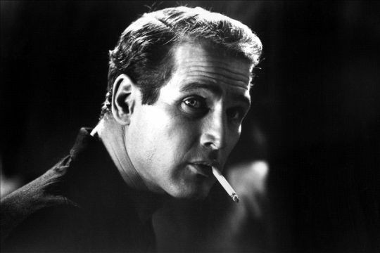 Paul Newman Fotoğrafları 104