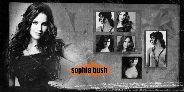 Sophia Bush Fotoğrafları 102