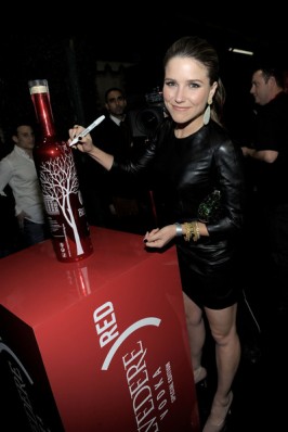 Sophia Bush Fotoğrafları 335