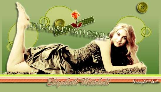 Elizabeth Mitchell Fotoğrafları 40