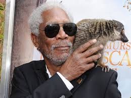 Morgan Freeman Fotoğrafı