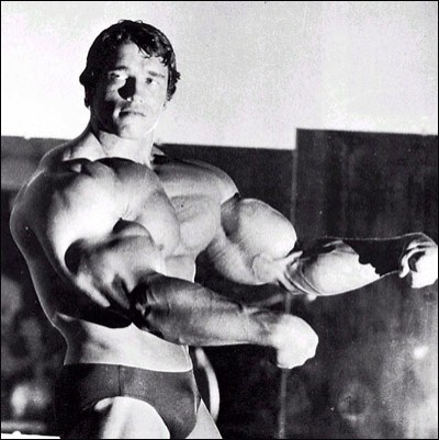 Arnold Schwarzenegger Fotoğrafları 27