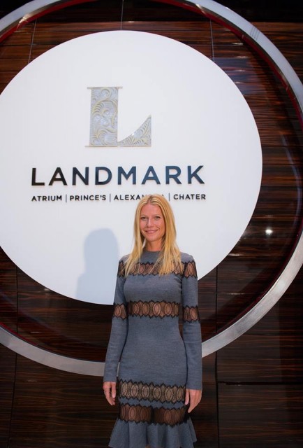 Gwyneth Paltrow Fotoğrafı