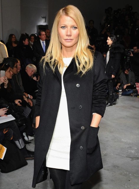 Gwyneth Paltrow Fotoğrafı