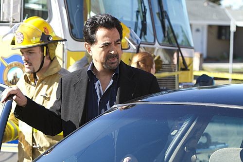 Joe Mantegna Fotoğrafları 27