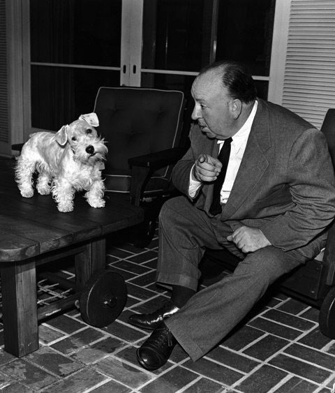 Alfred Hitchcock Fotoğrafları 72