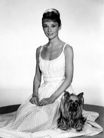 Audrey Hepburn Fotoğrafları 31