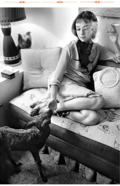 Audrey Hepburn Fotoğrafları 80